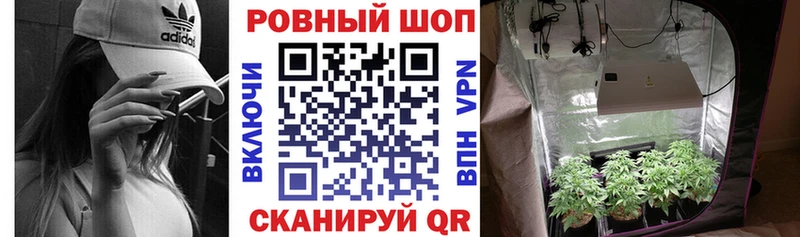 Где найти наркотики Сковородино ГАШ Канабис COCAIN APVP МЕФ