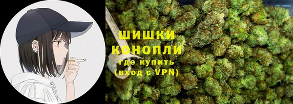соль ск Богородицк