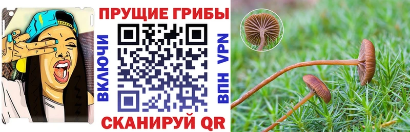 Псилоцибиновые грибы мухоморы  Сковородино 